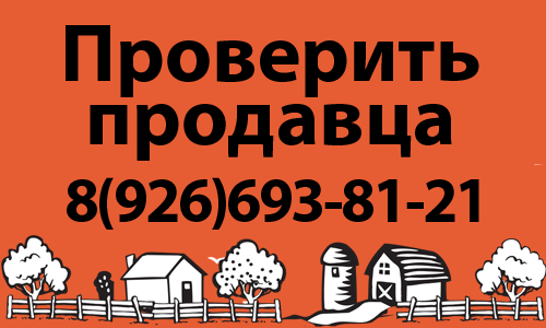 Проверка продавца недвижимости перед покупкой